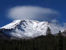 shasta
